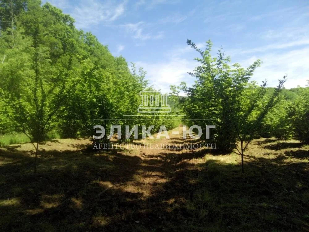 Продажа участка, Дефановка, Туапсинский район - Фото 3