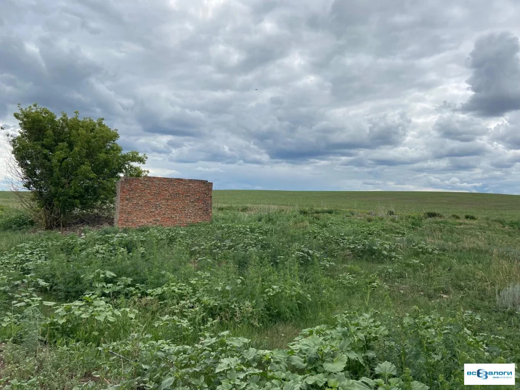 Продажа готового бизнеса, Маршанка, Красноярский район, Самарская . - Фото 3