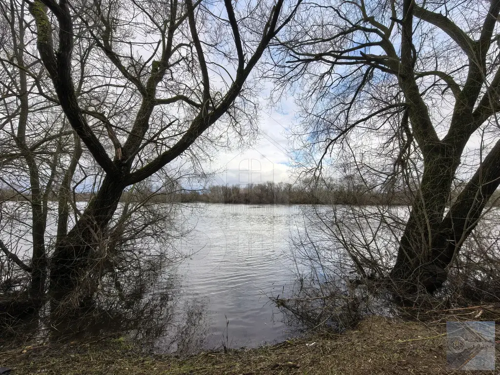 Продам земельный участок Воскресенский р-н, ДНП Славный - Фото 10