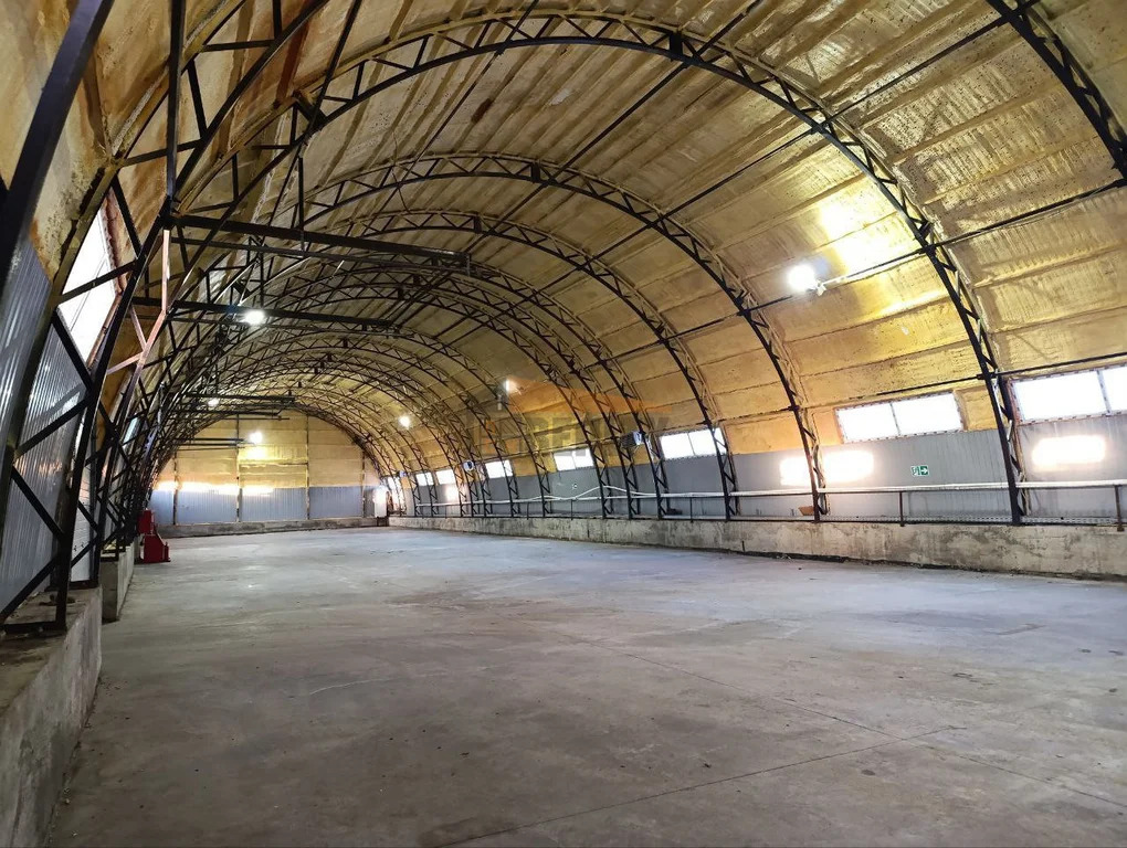 Продажа производственного помещения, Алешино, Пушкинский район - Фото 12