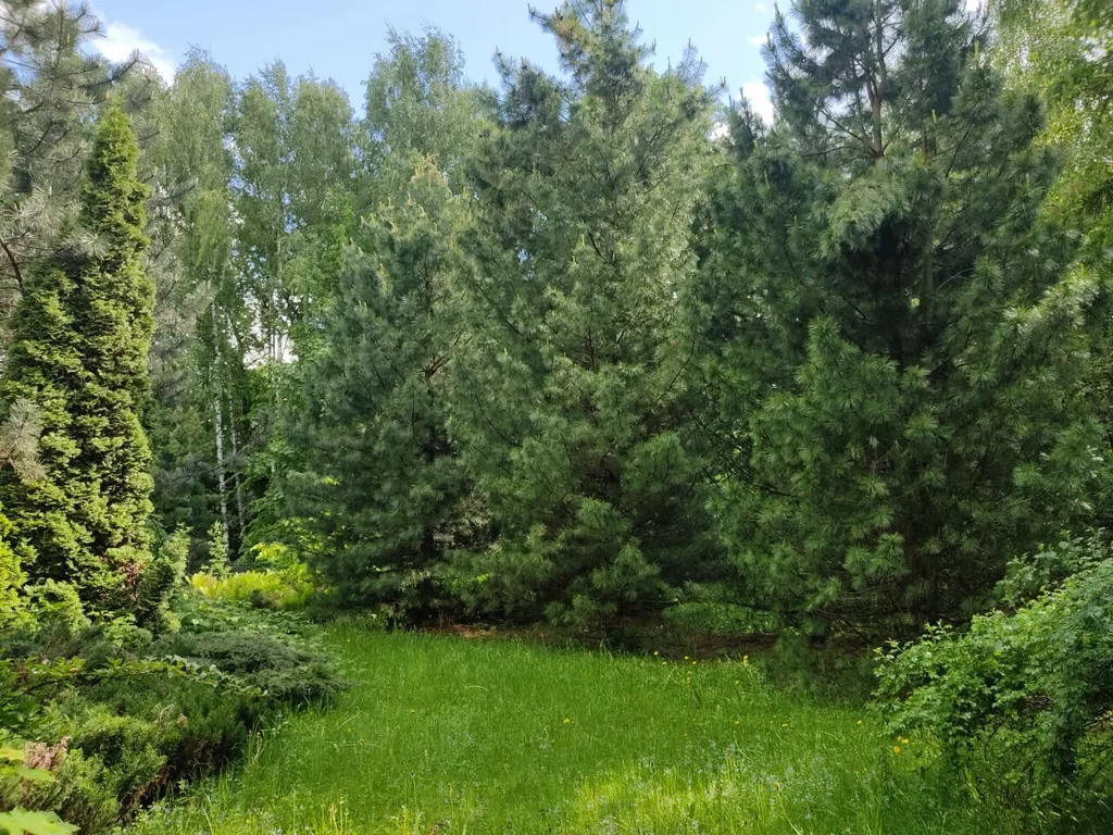 Продажа дома, Нагорное, Мытищинский район - Фото 16