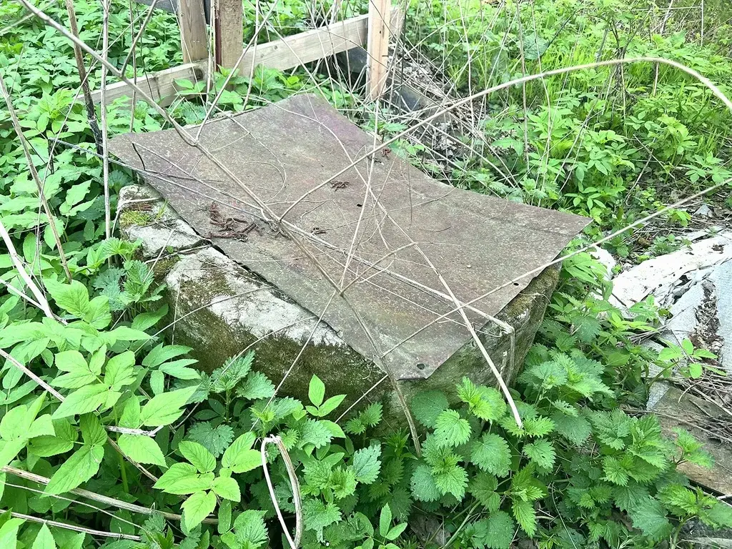 Дача в СНТ Лесной - Фото 10