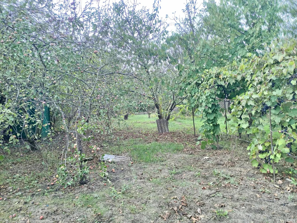 Продажа участка, Темрюк, Темрюкский район, ул. Анджиевского - Фото 5