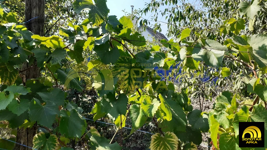 Продажа дома, Крымск, Крымский район, ул. Шоссейная - Фото 13