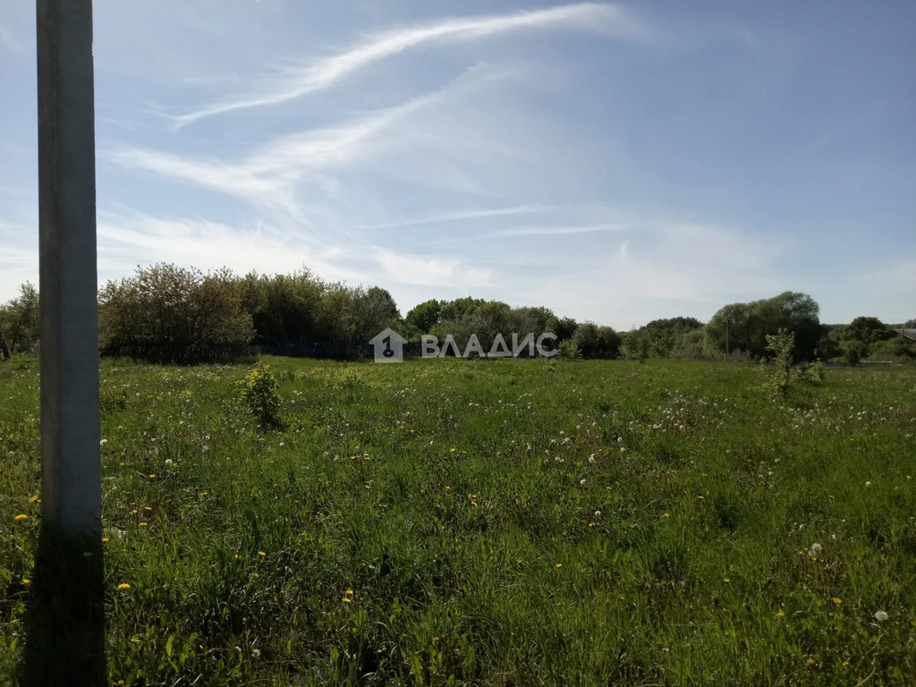 Суздальский район, село Новоалександрово,  земля на продажу - Фото 16