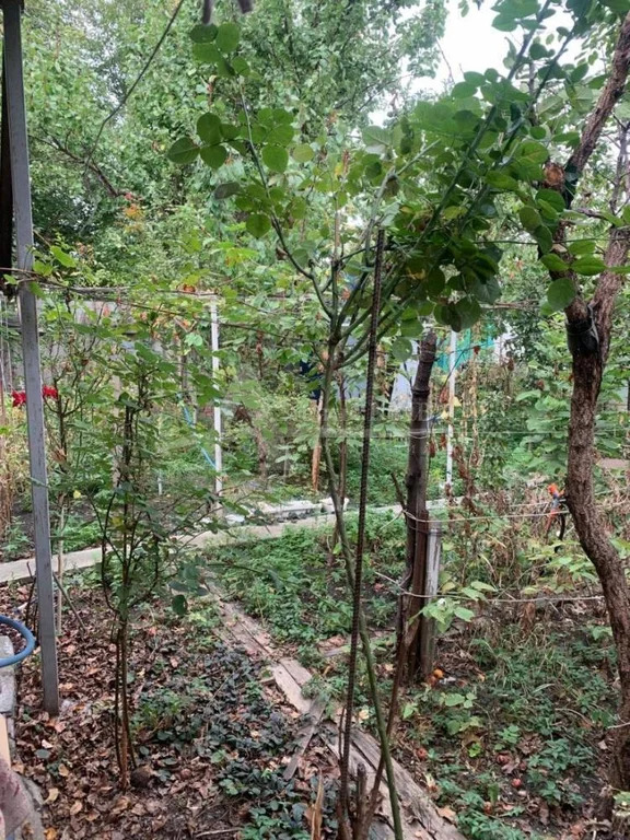 Продажа дома, Георгиевск, ул. Ермолова - Фото 5