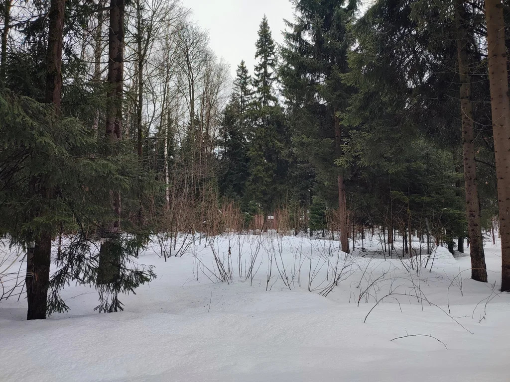 Продажа участка, НИИ Радио, Одинцовский район, Тыльная улица - Фото 14