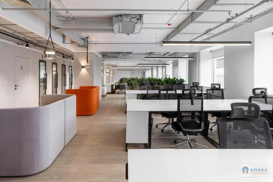 Аренда помещения 870 м2 под офис, рабочее место м. Менделеевская в ... - Фото 1