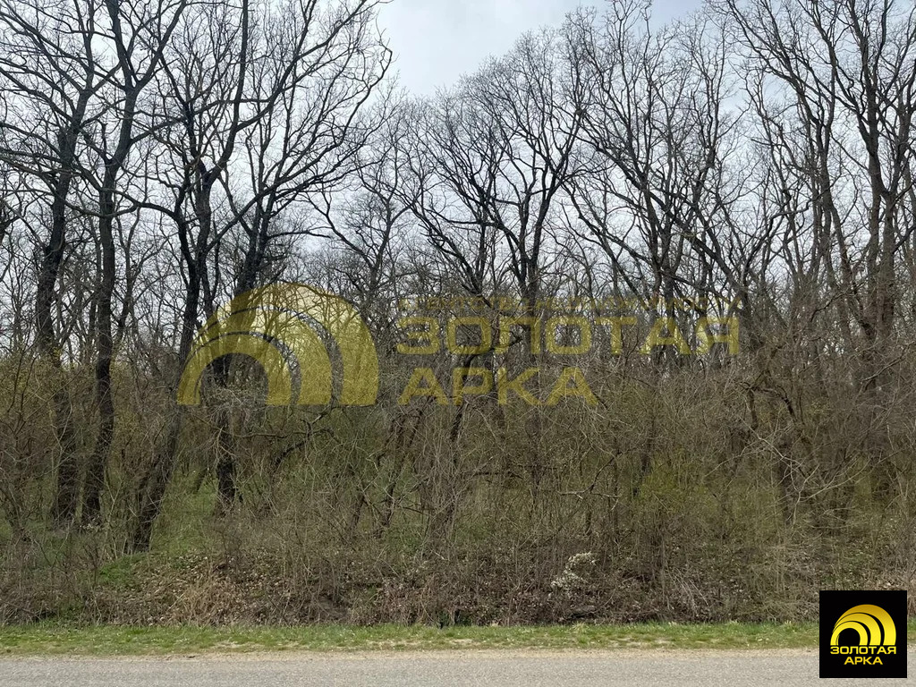 Продажа участка, Свет, Крымский район, ул. Шоссейная - Фото 11