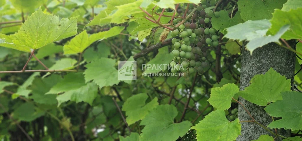 Продажа участка, Рузский район, СНТ Физик - Фото 12