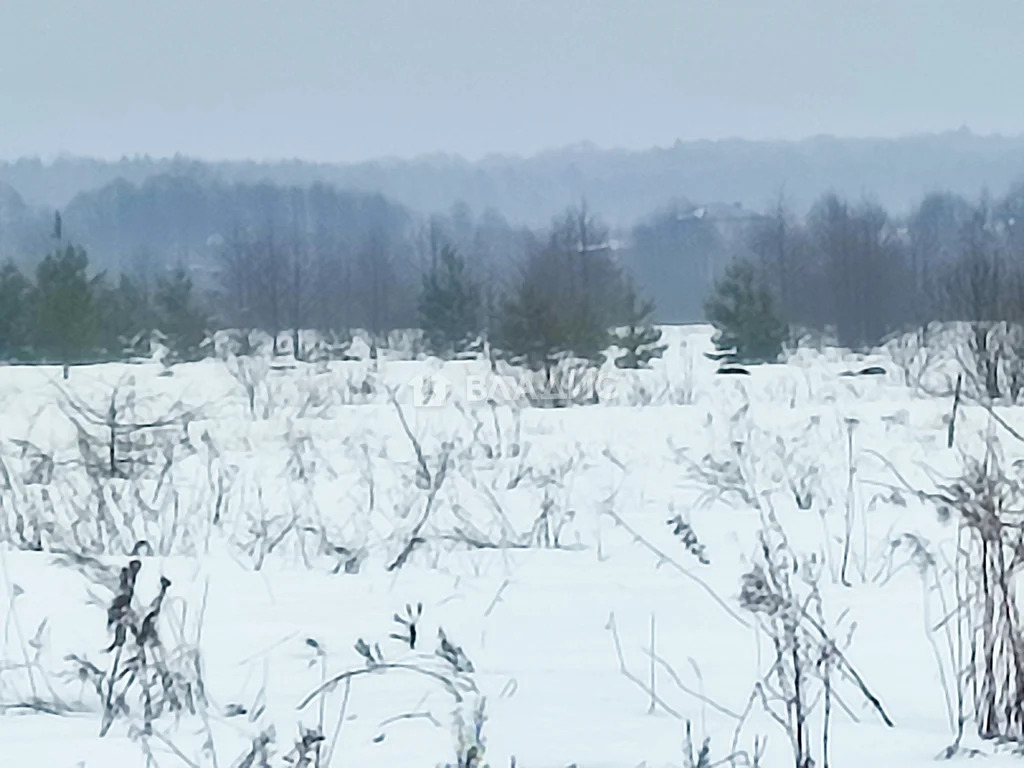 городской округ Владимир, деревня Уварово, Октябрьский район,  земля ... - Фото 2