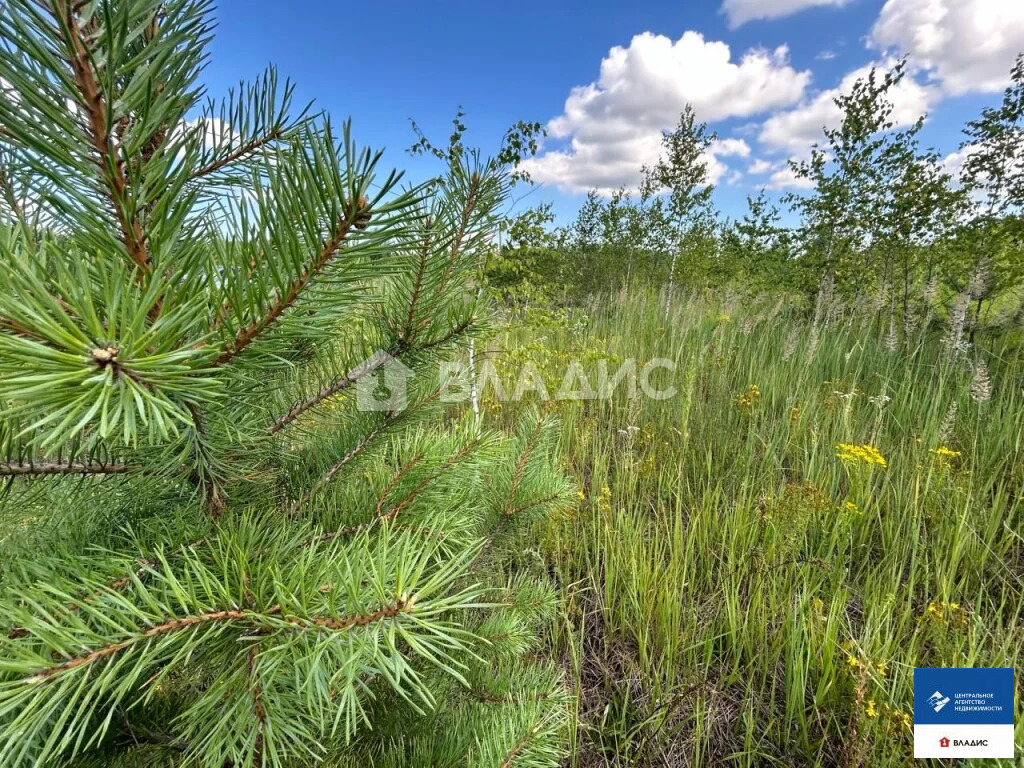 Продажа участка, Семкино, Рязанский район, коттеджный посёлок Сёмкина ... - Фото 3