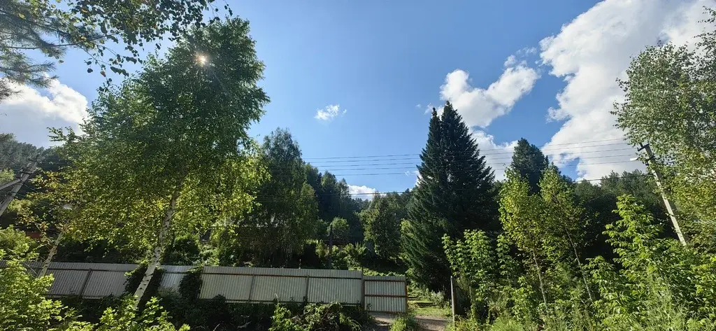 Живописный участок в Белокурихе от собственника! - Фото 9