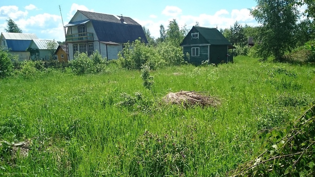 Кошелево тверская область фото