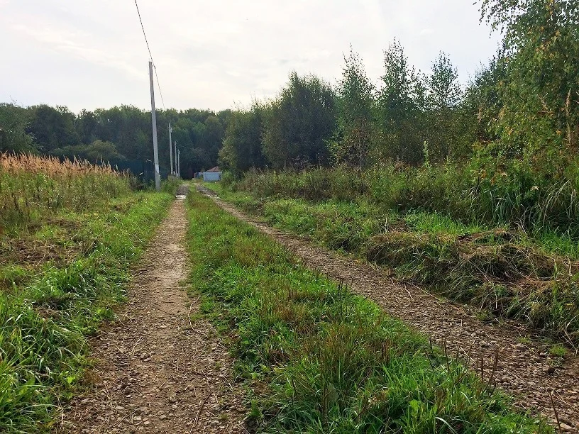 Погода вельяминово московская область