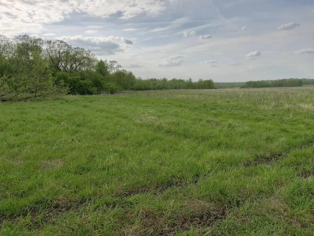 Продажа участка, Богородское, Коломенский район - Фото 3