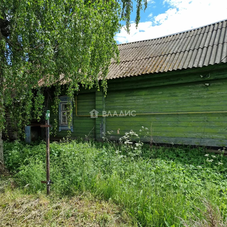 Юрьев-Польский район, село Матвейщево, Центральная улица, дом на . - Фото 26