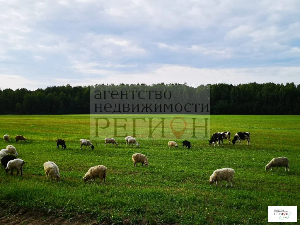 Продажа участка, Коростелево, Боровский район - Фото 13