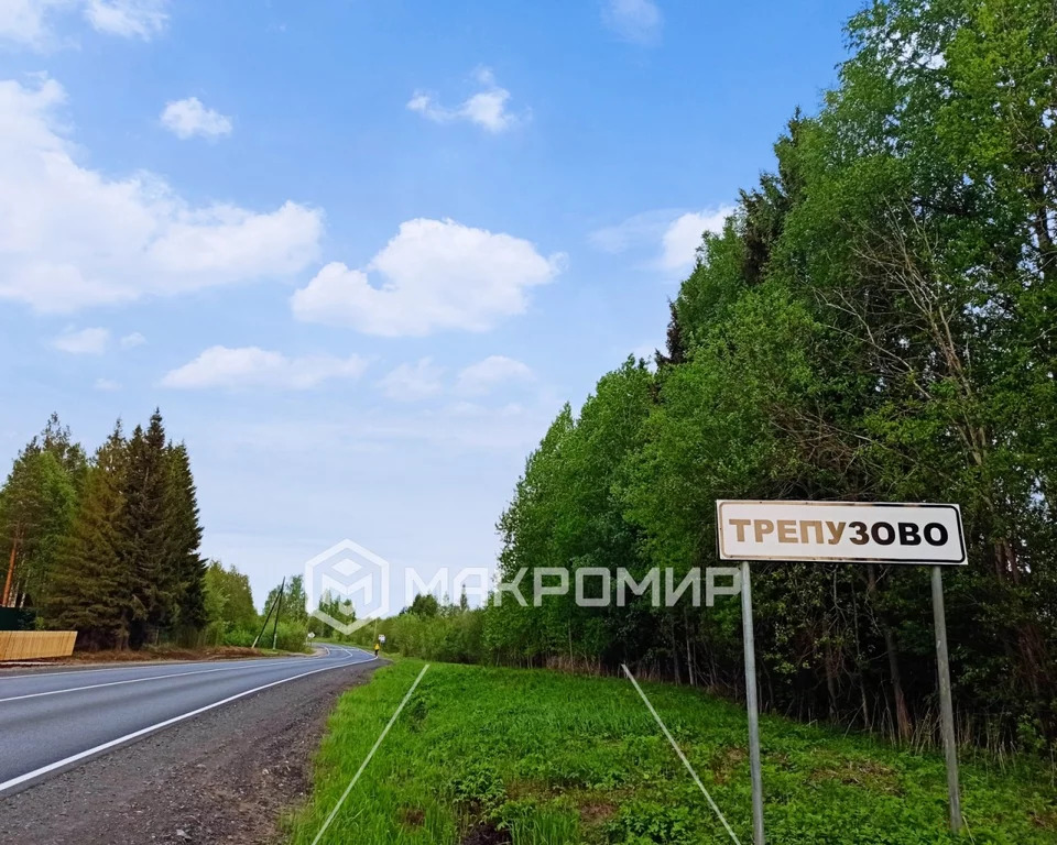 Участок новодвинск. Трепузово Архангельская область. Деревня Трепузово Архангельская область. Архангельск Трепузово картинка. Трепузово Архангельск на карте.