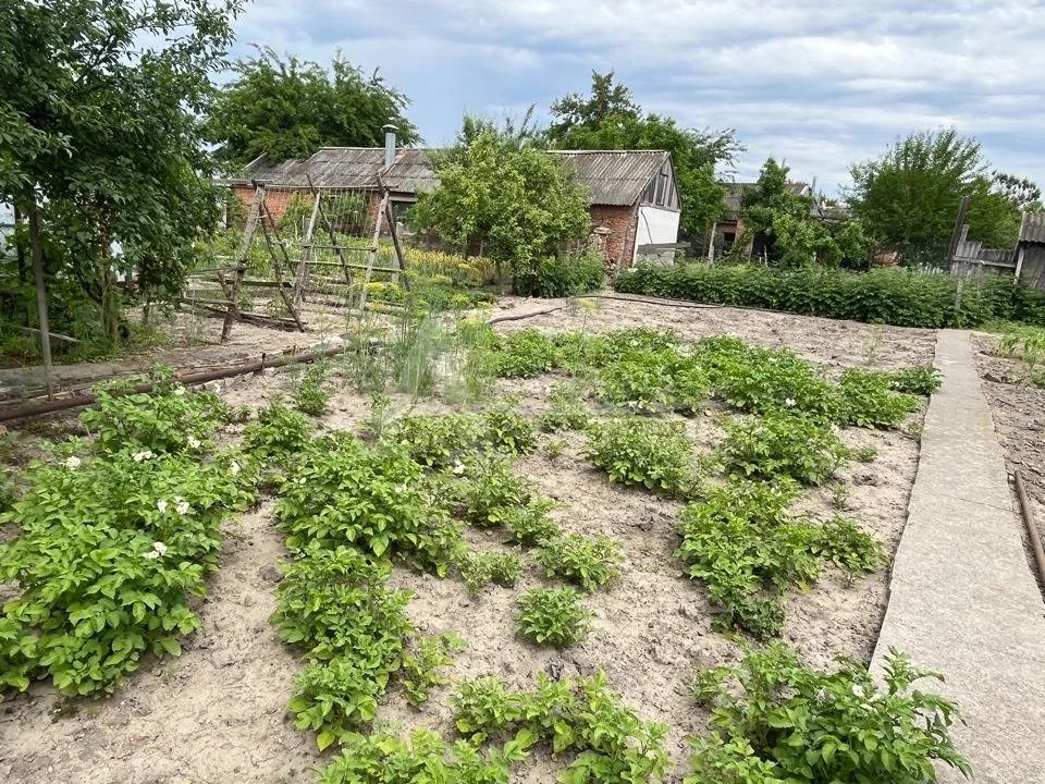 Продажа дома, Зеленокумск, Советский район, ул. Крайнева - Фото 13