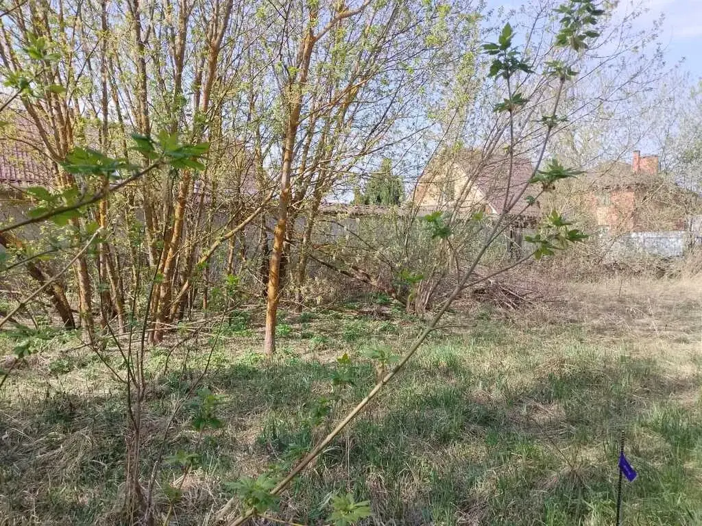 Продажа коммерческой земли 11.0 сот. ул. Юбилейная, Московская ... - Фото 1