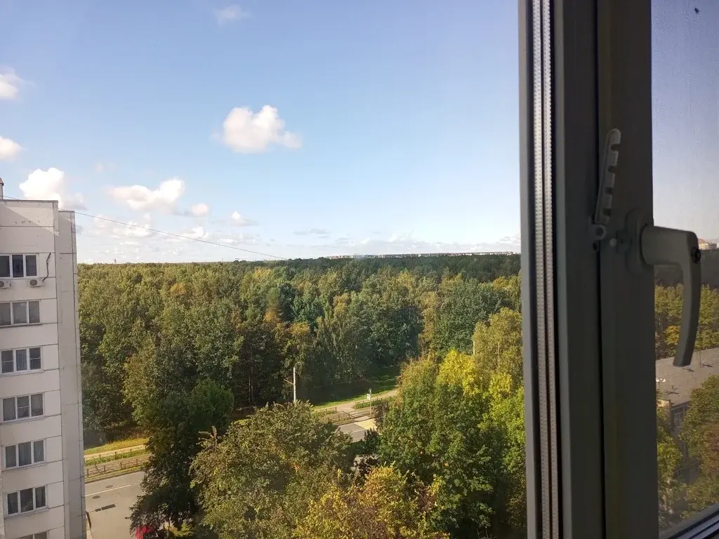 В продаже 2 к.кв с мебелью, техникой 60 м2 рядом с сосновым лесопарком - Фото 13