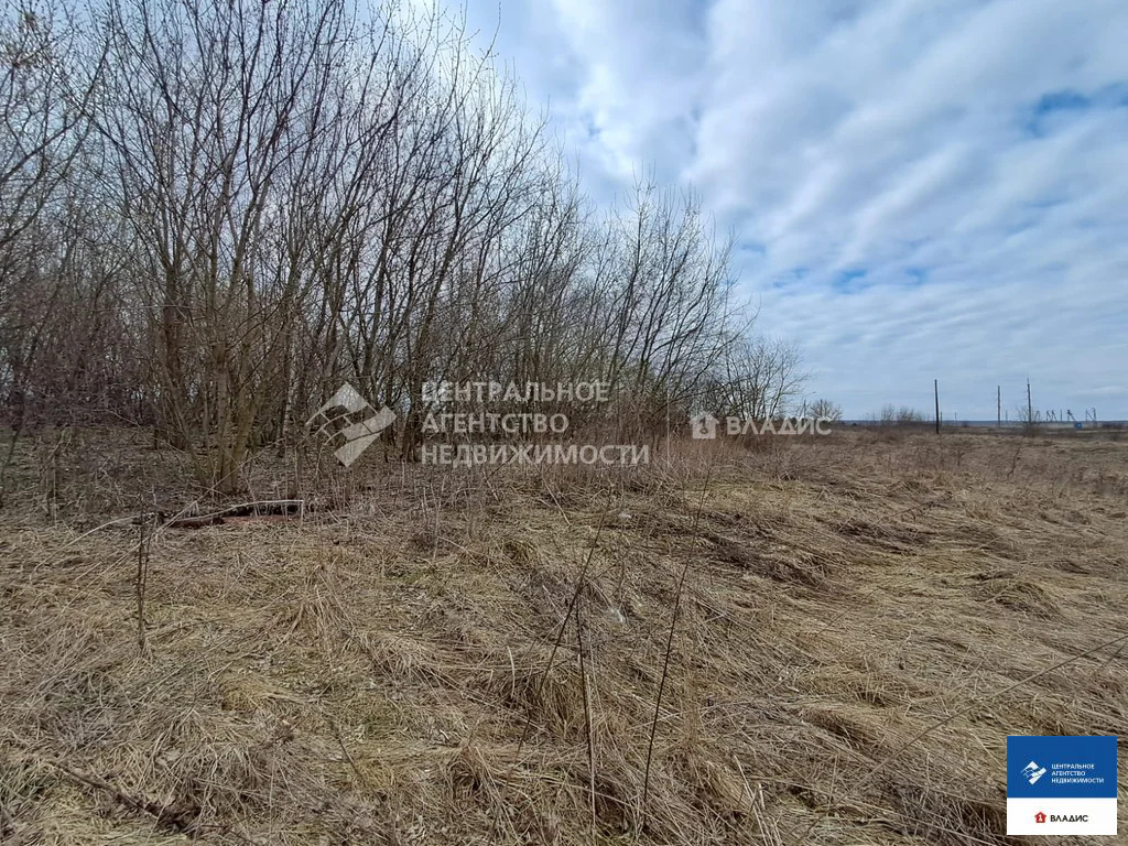 Продажа участка, Касимовский район - Фото 6