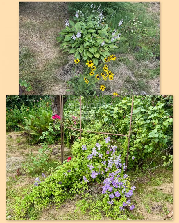 Продажа дома, Дмитров, Дмитровский район - Фото 33