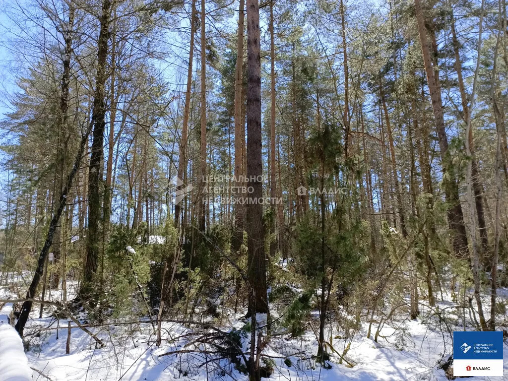 Продажа участка, Рязанский район, садоводческое товарищество Лесной - Фото 3