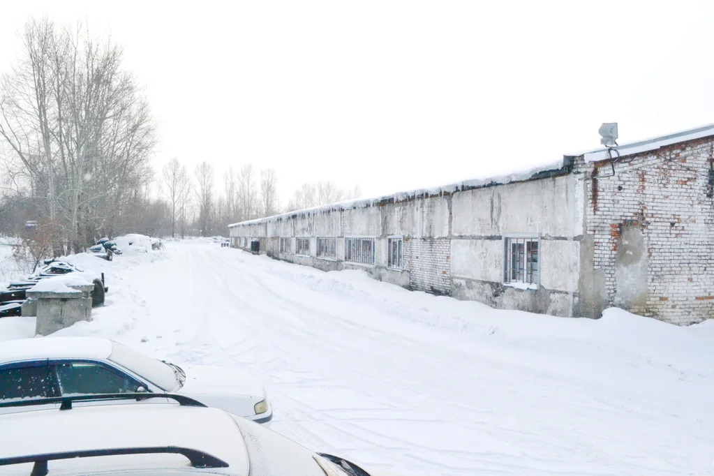 Продажа офиса, Елань, Новокузнецкий район, ул. Советская - Фото 3