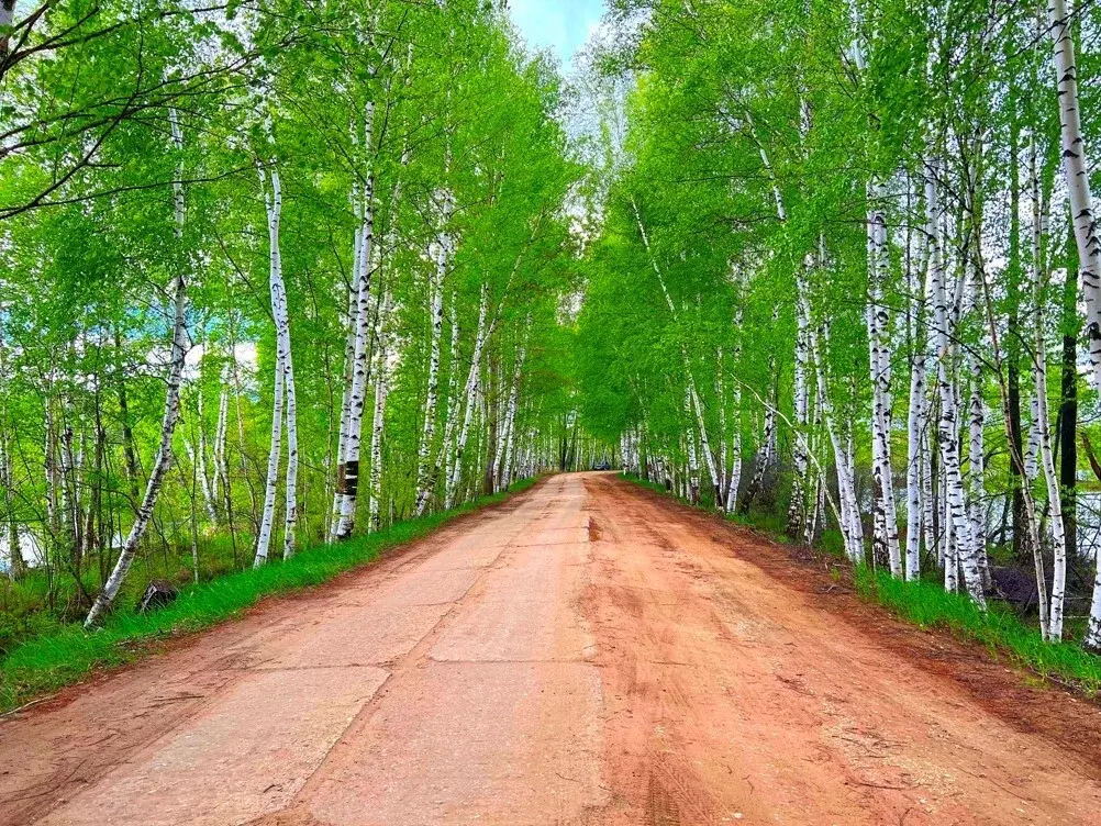 Дача в СНТ Видный - Фото 10