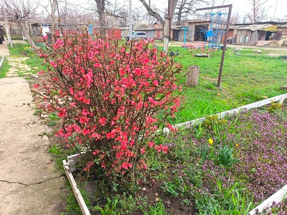 Продажа квартиры, Крымск, Крымский район, ул. Привокзальная - Фото 17