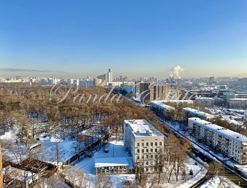 Панорамные виды на парк Сокольники (ном. объекта: 9798) - Фото 6