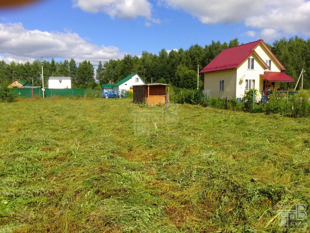 Деревня санино петушинский район владимирская область фото