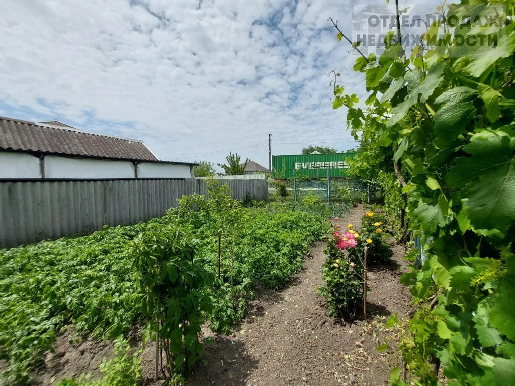 Дом на центральной улице - Фото 18