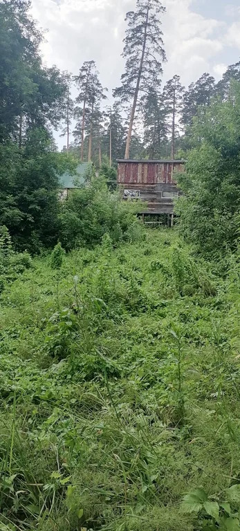 Продажа участка, Таргайский дом отдыха, Новокузнецкий район, ул. ... - Фото 19