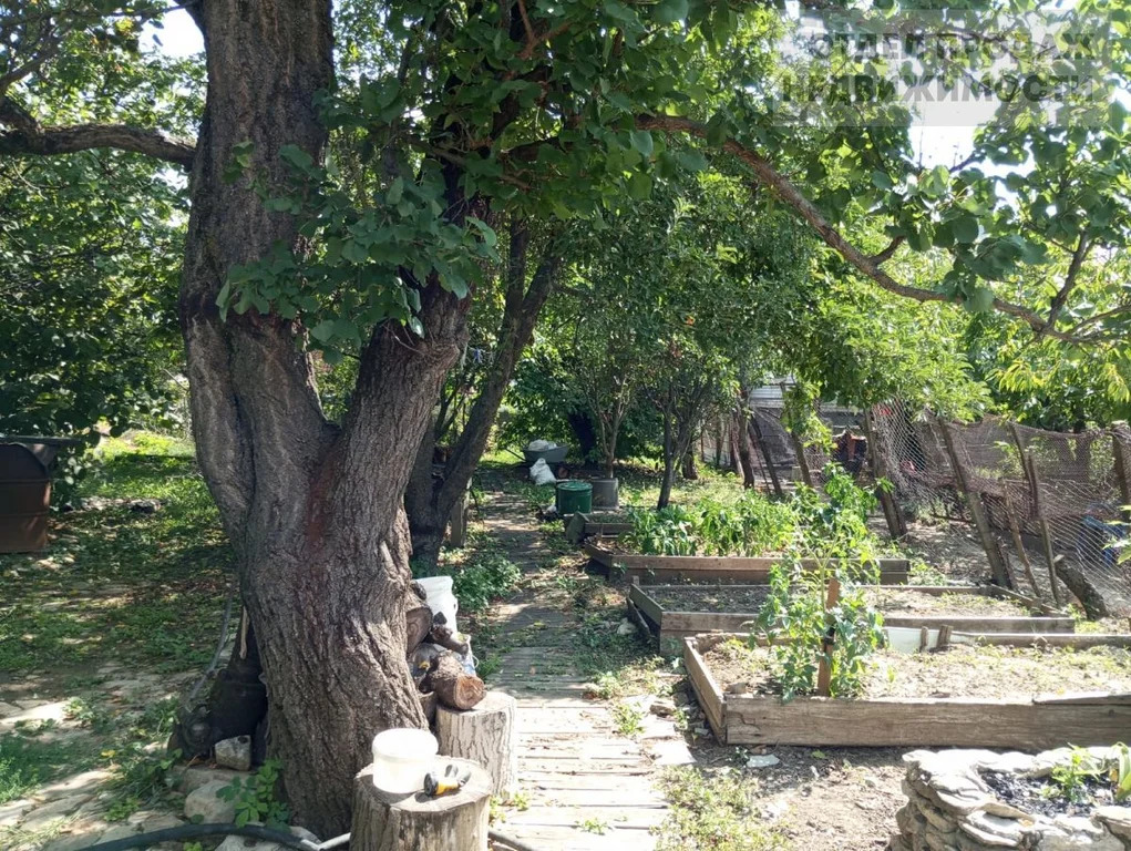 Объект 537559 - Фото 9