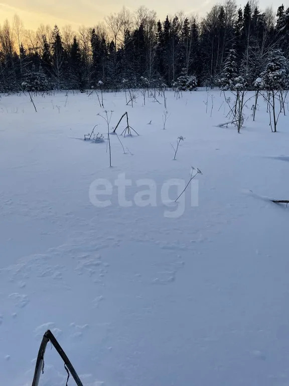 Продажа участка, Холмы, Истринский район - Фото 2