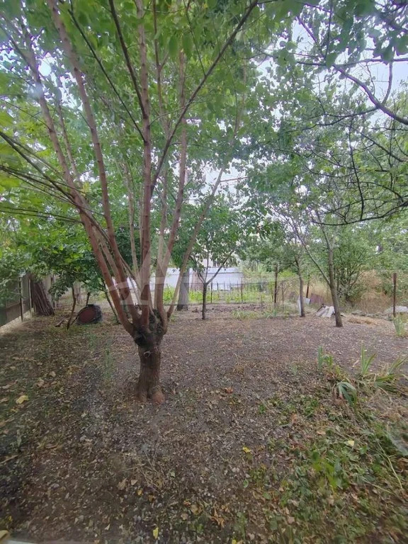 Продажа квартиры, Иноземцево, Центральная ул. - Фото 17