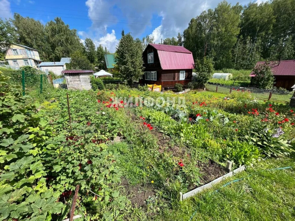 Купить Дачу В Снт Энергетик