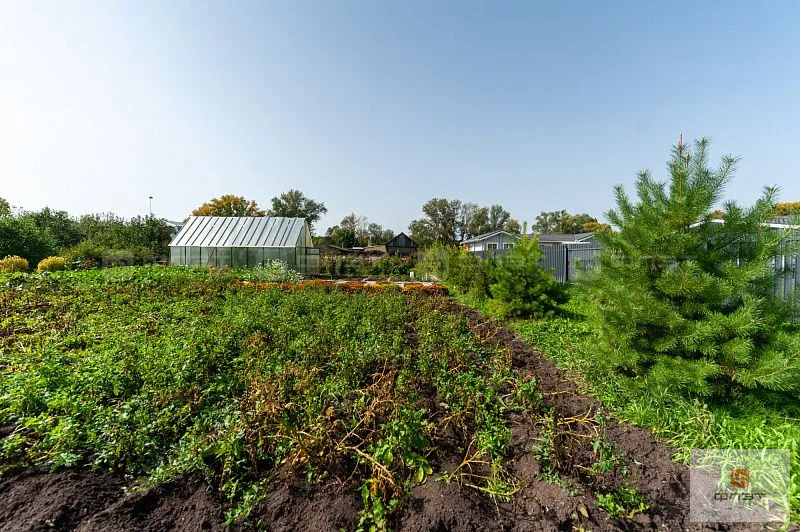 Продажа участка, Соболевское, Верхнеуслонский район, ул. Береговая - Фото 7