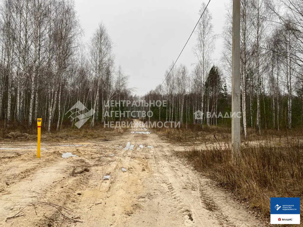Продажа участка, Ярустово, Спасский район, ул. Лесная - Фото 10