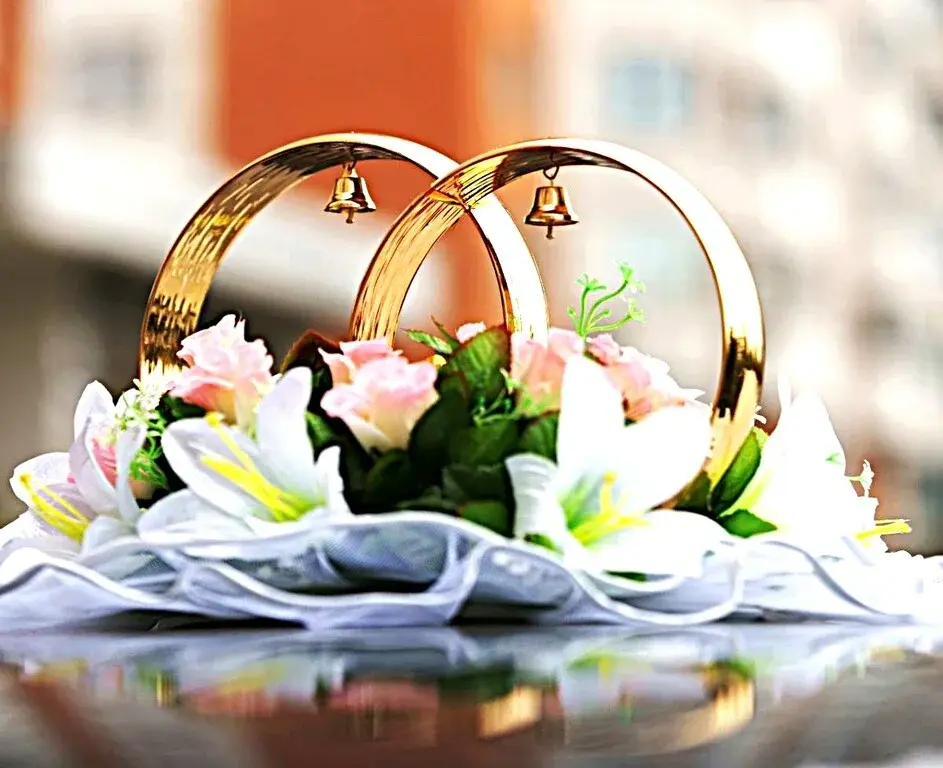 Продаётся действующее брачное агентство - Фото 4