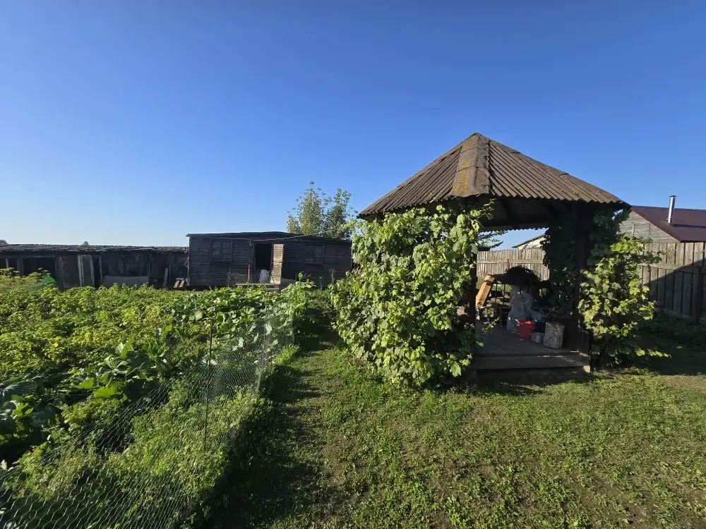 Продаю дом в д. Крутицы - Фото 20