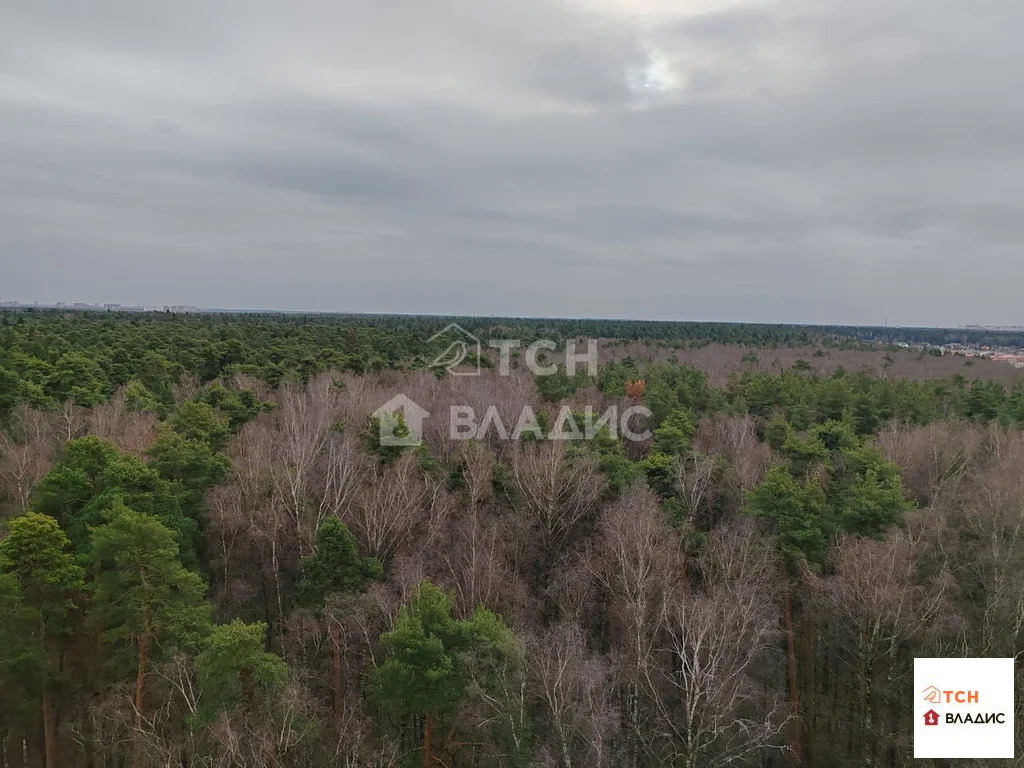 Аренда квартиры, Ивантеевка, Центральный проезд - Фото 8