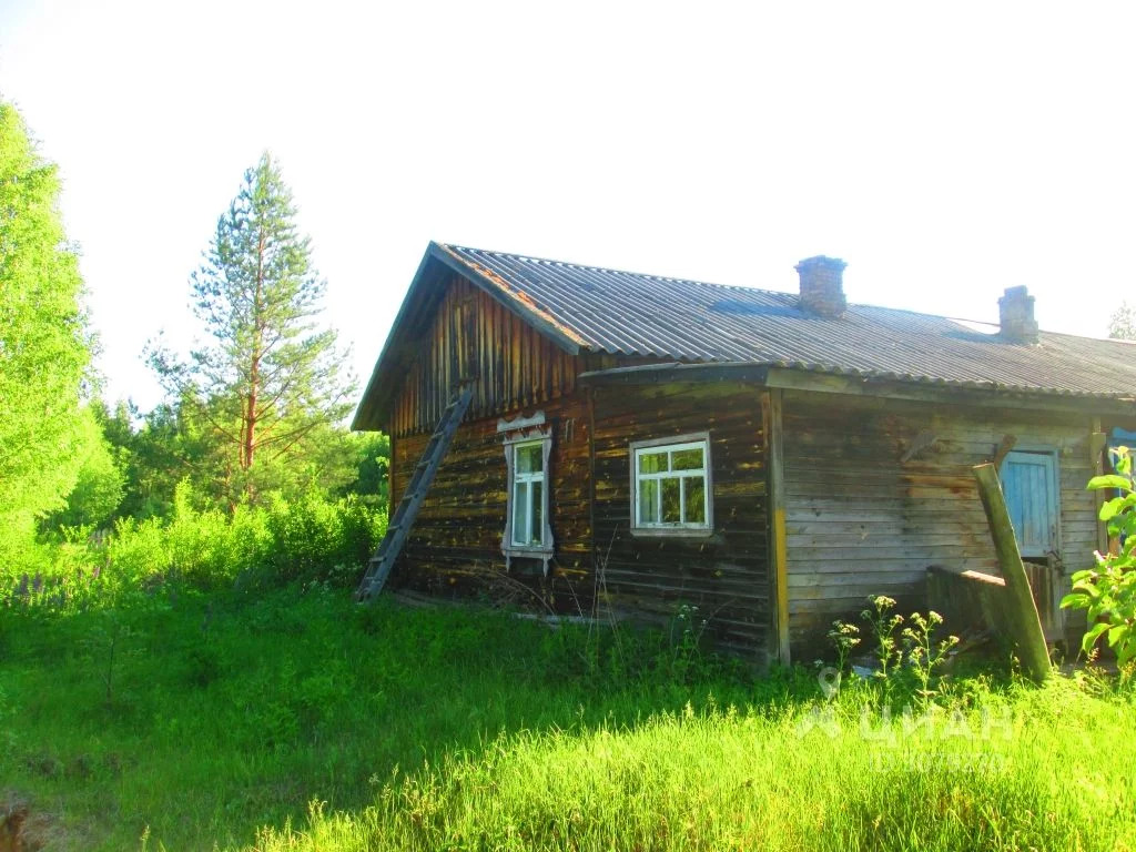 Поселок пруды нижегородская область. Быструха Нижегородская область.