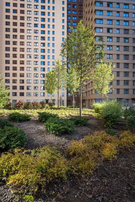 Прямая продажа от застройщика - Фото 6