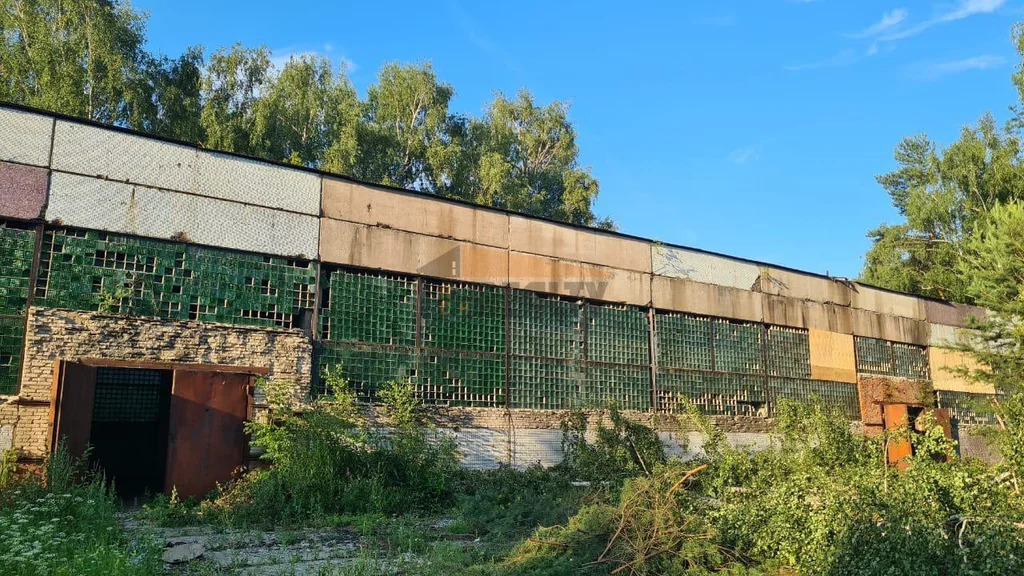 Продажа производственного помещения, Лосино-Петровский, ул. ... - Фото 3