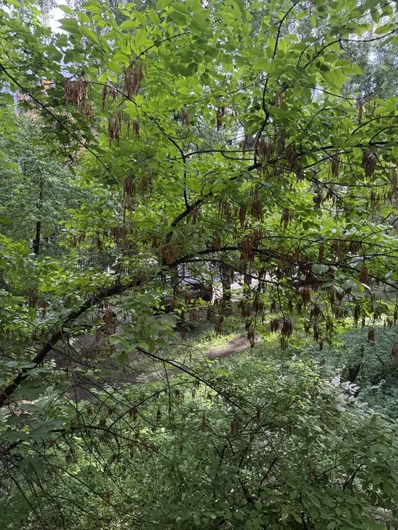 Квартира с ремонтом в тихом, зеленом дворе - Фото 9