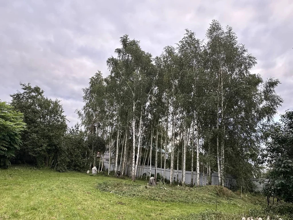 Продажа участка, Внуково, Дмитровский район - Фото 1